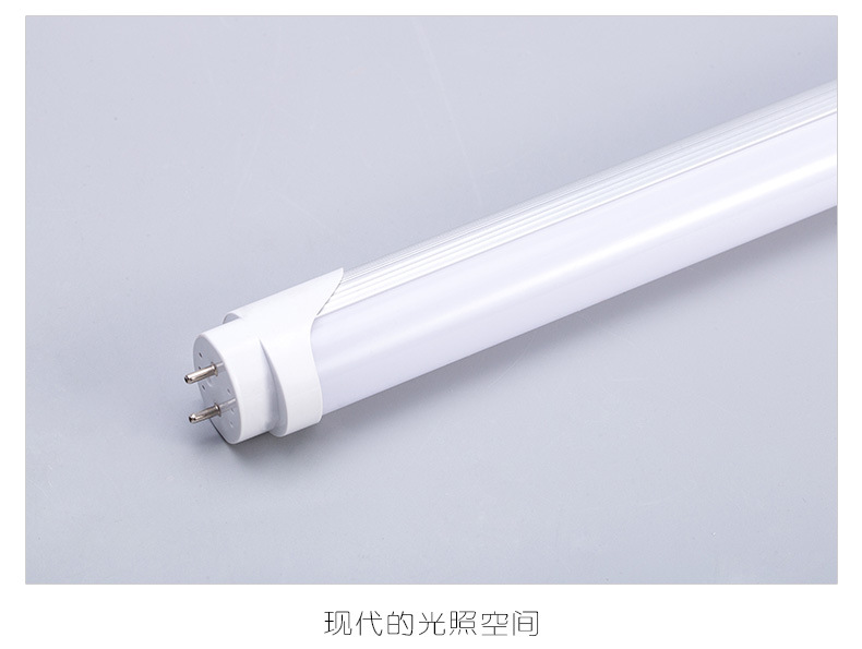 3113673230_128318942